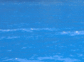 myritaki.com