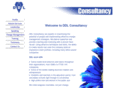 ddl-consultancy.com