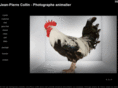 jeanpierrecollin.com
