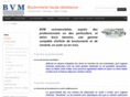 bvmidi.net