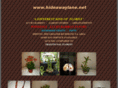 hideawaylane.net