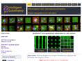 micro-environments.com