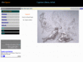 thefigure.net