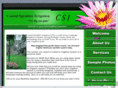 call-csi.com
