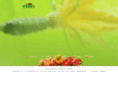 efko.com