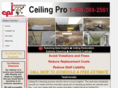 ceilingcleaners.net