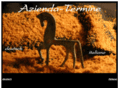 azienda-termine.com