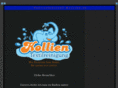 textilreinigung-kollien.com