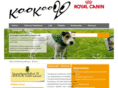 kookoo99.net