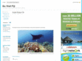 go-visit-fiji.com