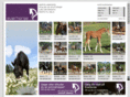 horse.dk