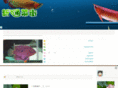 tungchoistreet.net
