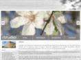 destudio.biz