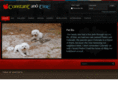 constantandtrue.com