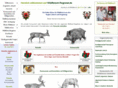 wildfleisch-regional.de