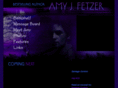 amyjfetzer.com