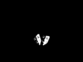 caffedelteatroaradeo.com