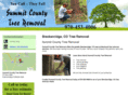summitcounty-treeremoval.com