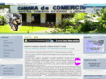 camaracomercioigr.com.ar