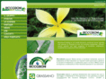 riccobonigroup.com