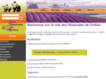 lesmusicalesdegrillon.com