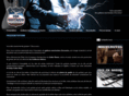 usa-guitares.com