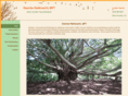 desireereitknecht.com