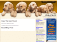 dog.org.nz