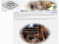 adviserconsultors.com