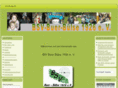 bsv-buer-buelse.de