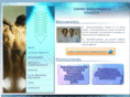 quiropracticapolanco.com
