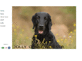 jolly-good-worker.de