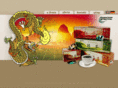 panaceum-international.com