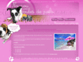 nounouboulesdepoils.com