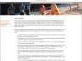 fijian-holidays.com