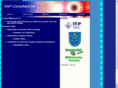 sap-consultant.net