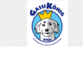 gassiservice.com