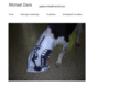 michaeldans.com