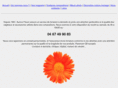 aurore-fleurs.fr