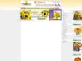 sending-flowers.org