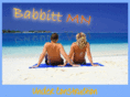 babbittmn.com