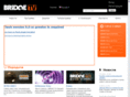 bridgetv.ru