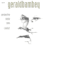 geraldbambey.com