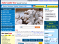 india-guided-tour.com
