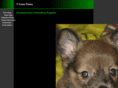 t-town-tinies.com
