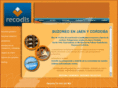 recodis.com