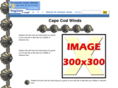 capecodwinds.com