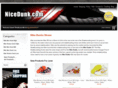 nicedunk.com