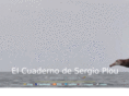 sergioplou.com