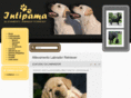 labrador-intipama.it